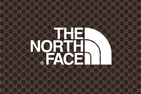 gucci tnf raffle|gucci north face logo.